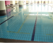 南方莊園-游泳池  