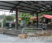 神農科技休閒農場溫泉會館-水療  