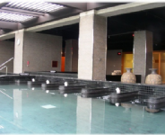 花季溫泉會館-水療  