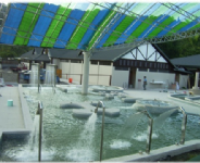 麒麟峰溫泉會館-水療  